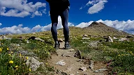Bena til en turgåer på fjellet om sommeren
