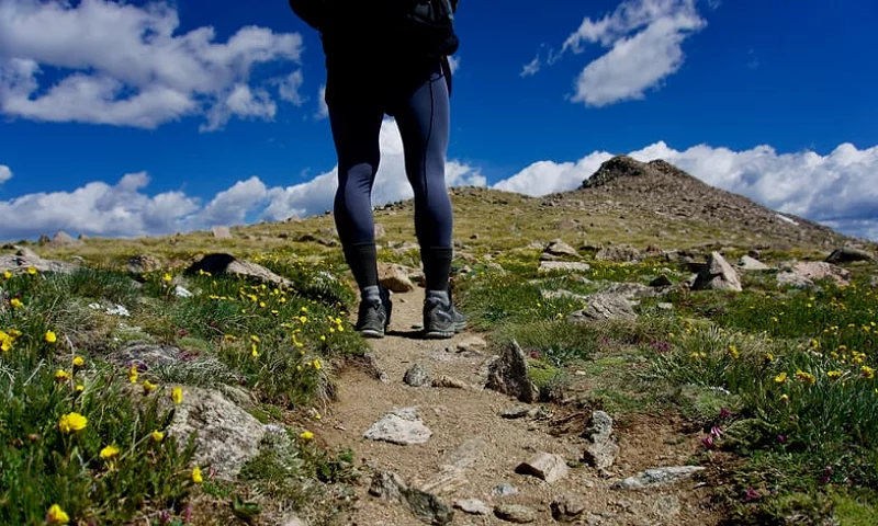 Bena til en turgåer på fjellet om sommeren
